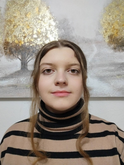 Slika